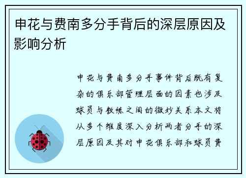 申花与费南多分手背后的深层原因及影响分析